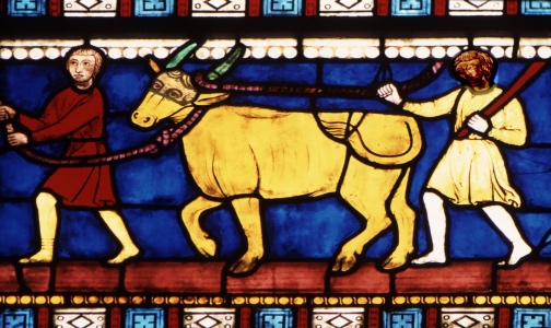 Transept Sud paysan_Fotor.jpg